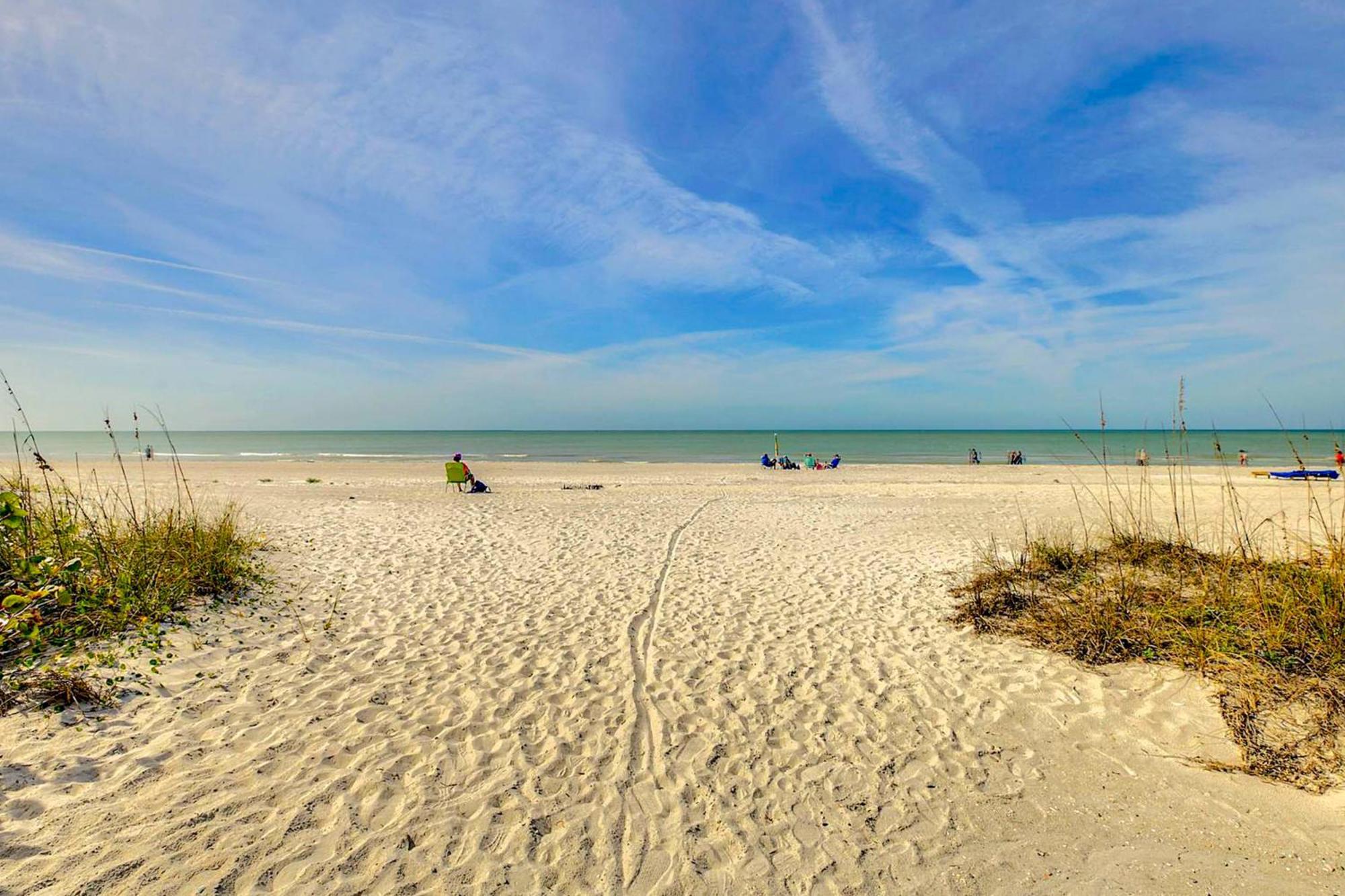 Tropical Paradise Clearwater Beach Phòng bức ảnh