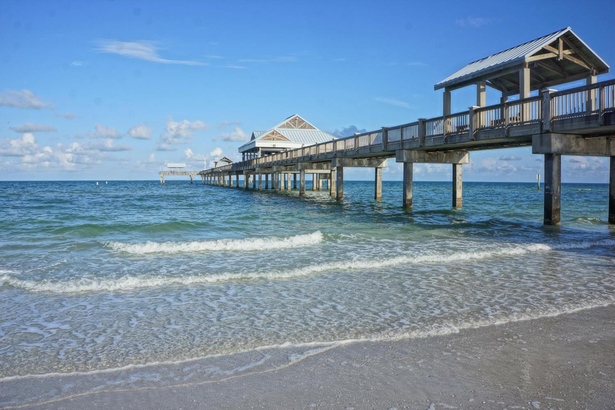 Tropical Paradise Clearwater Beach Phòng bức ảnh