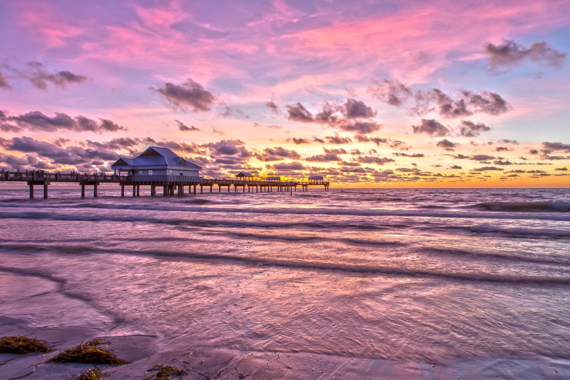 Tropical Paradise Clearwater Beach Phòng bức ảnh