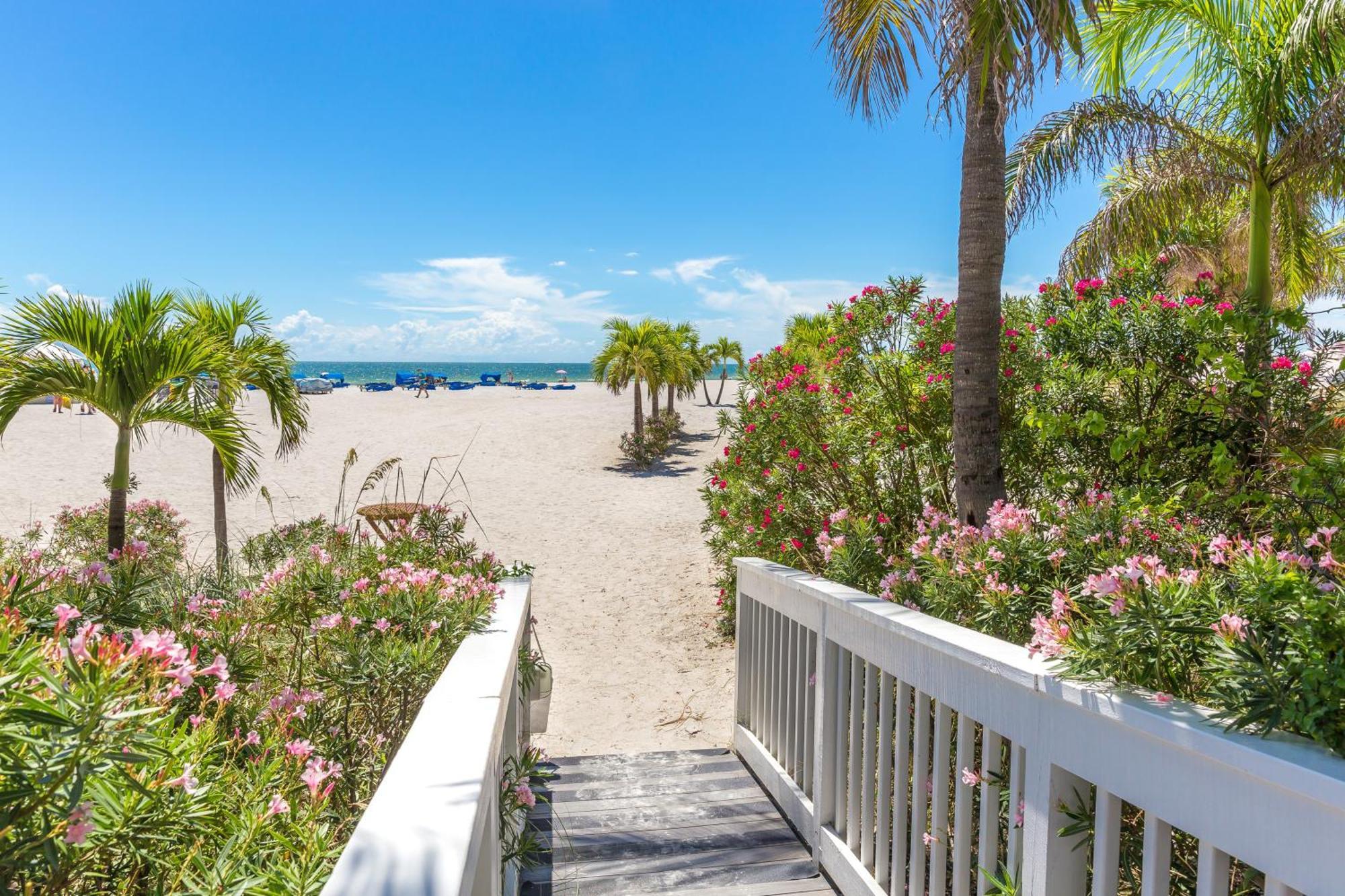 Tropical Paradise Clearwater Beach Phòng bức ảnh